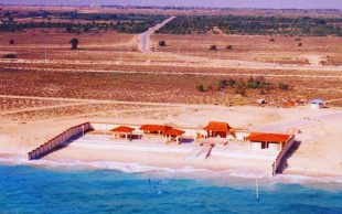 “درد کیش “