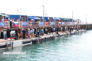 گزارش تصویری: آخرین روزهای مسابقات غواصی ارتش های جهان در جزیره کیش/عکس:  امیررضا سیم ریز