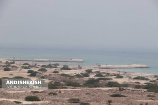 گزارش تصویری :انجام  بسترسازی در دریا برای ساخت پلاژ جدید آقایان/عکس: امیررضا سیم ریز