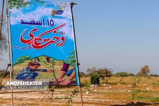 کاشت نهال به مناسبت روز درخت کاری در جزیره کیش / عکس : امیررضا سیم ریز