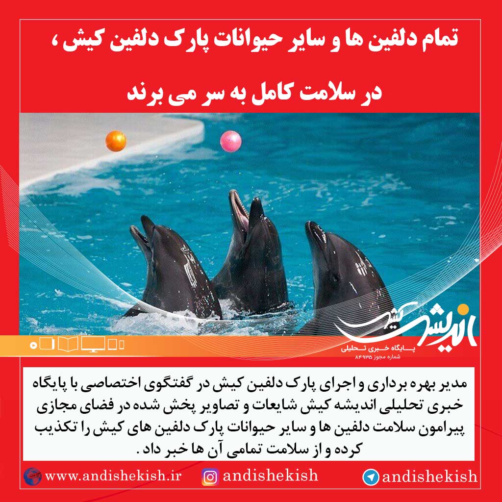 تمام دلفین ها و سایر حیوانات پارک دلفین کیش ، در سلامت کامل به سر می برند