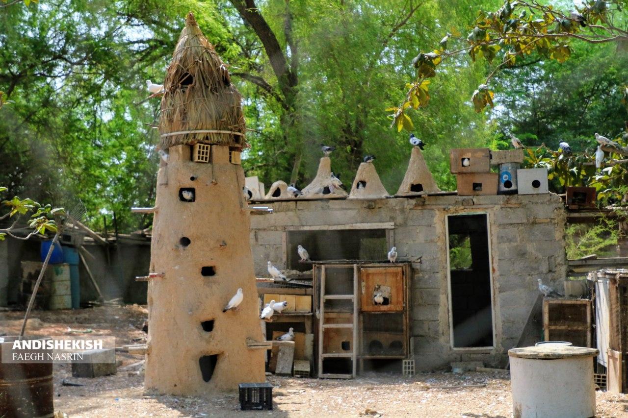 گزارش تصویری : بازدید معاون گردشگری سازمان منطقه آزاد کیش از باغ خلاق گردشگری، خانه زنان بومی/ عکس نسرین فائق