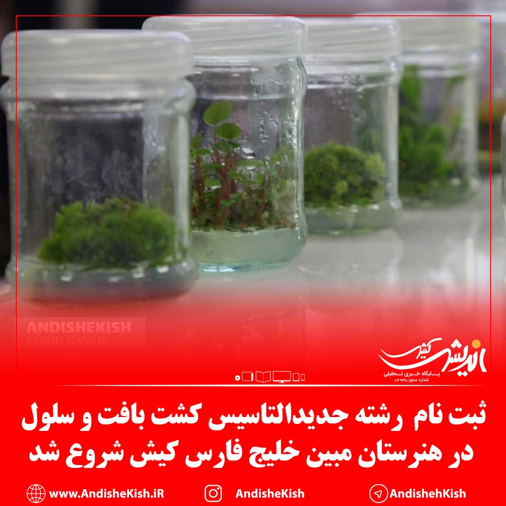 ثبت نام  رشته جدیدالتاسیس کشت بافت و سلول در هنرستان مبین خلیج فارس کیش شروع شد