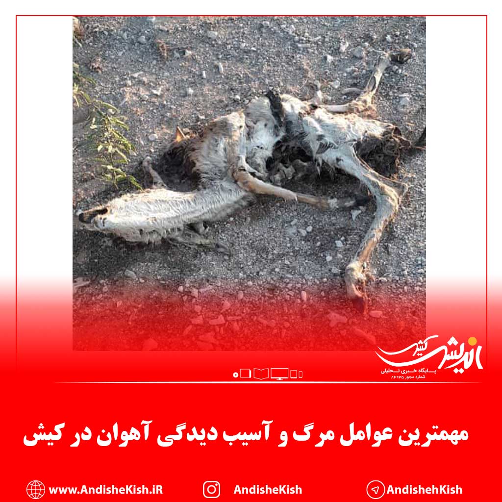 مهمترین عوامل مرگ و آسیب دیدگی آهوان در کیش