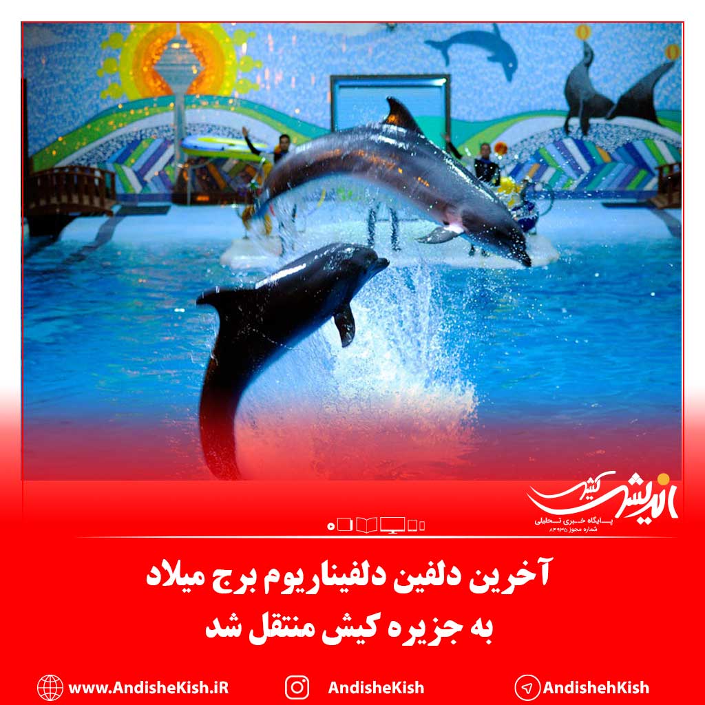 آخرین دلفین دلفیناریوم برج میلاد به جزیره کیش منتقل شد