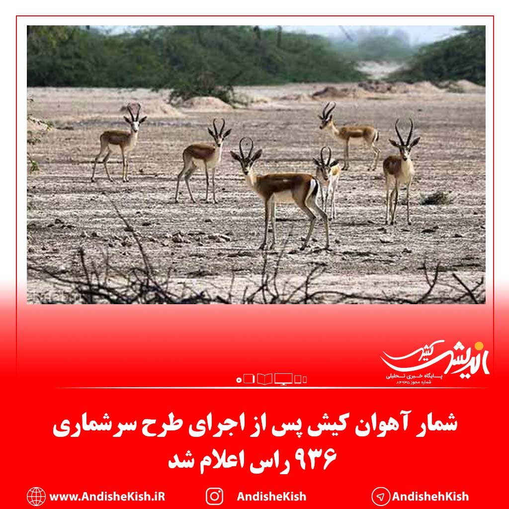 شمار آهوان کیش پس از اجرای طرح سرشماری ۹۳۶ راس اعلام شد