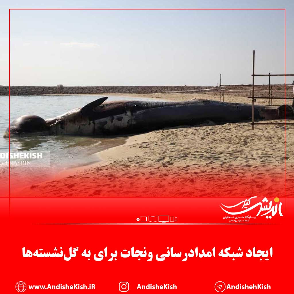 ایجاد شبکه امدادرسانی ونجات برای به گلنشستهها ایجاد شبکه امدادرسانی ونجات برای به گلنشستهها