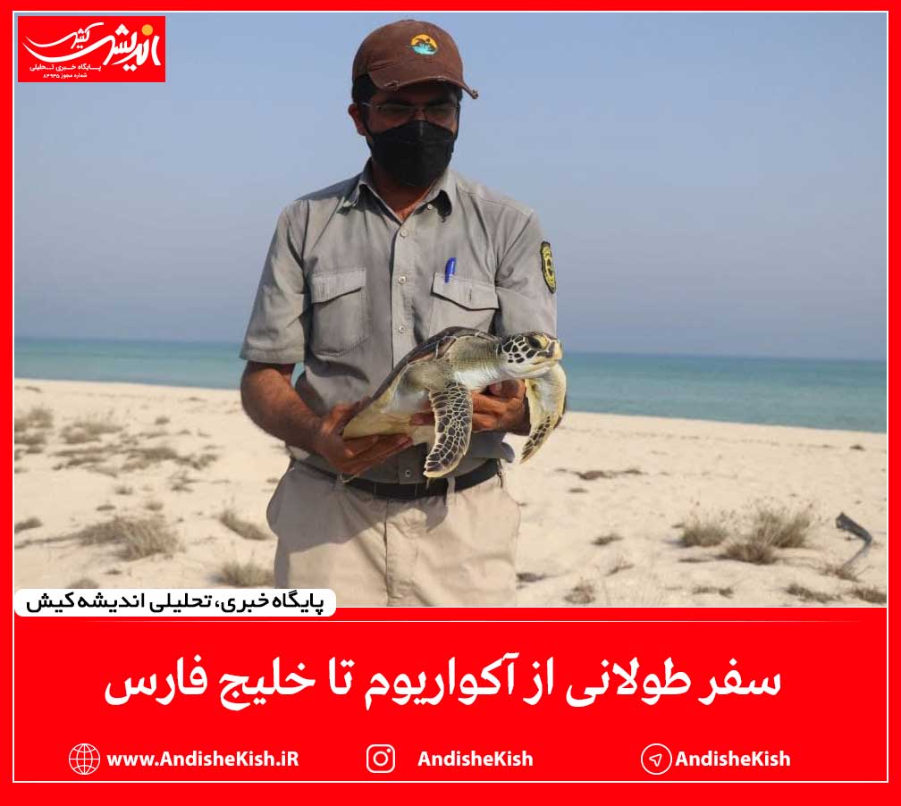 سفر طولانی از آکواریوم تا خلیج فارس سفر طولانی از آکواریوم تا خلیج فارس