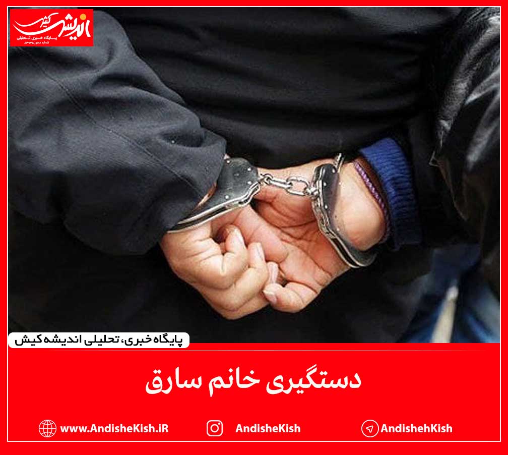 دستگیری خانم سارق