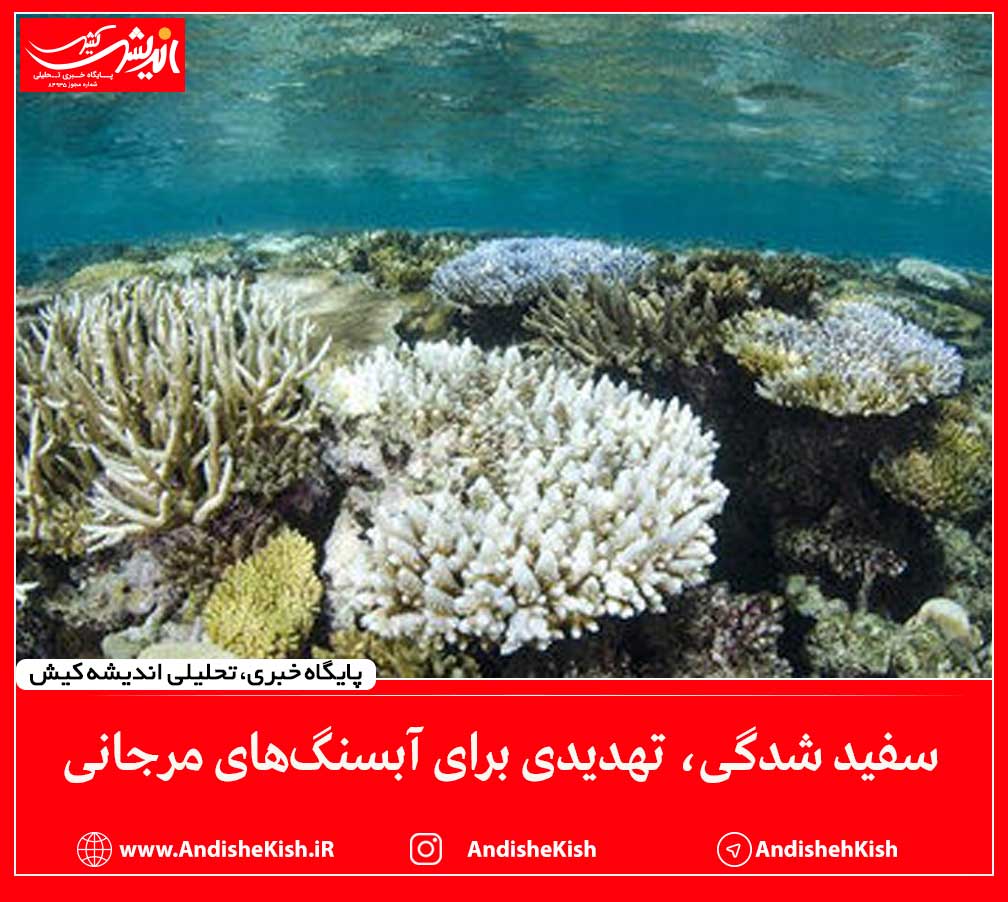 سفید شدگی، تهدیدی برای آبسنگ‌های مرجانی