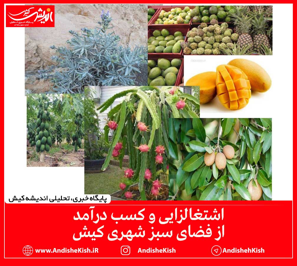 اشتغالزایی و کسب درآمد از فضای سبز شهری کیش اشتغالزایی و کسب درآمد از فضای سبز شهری کیش