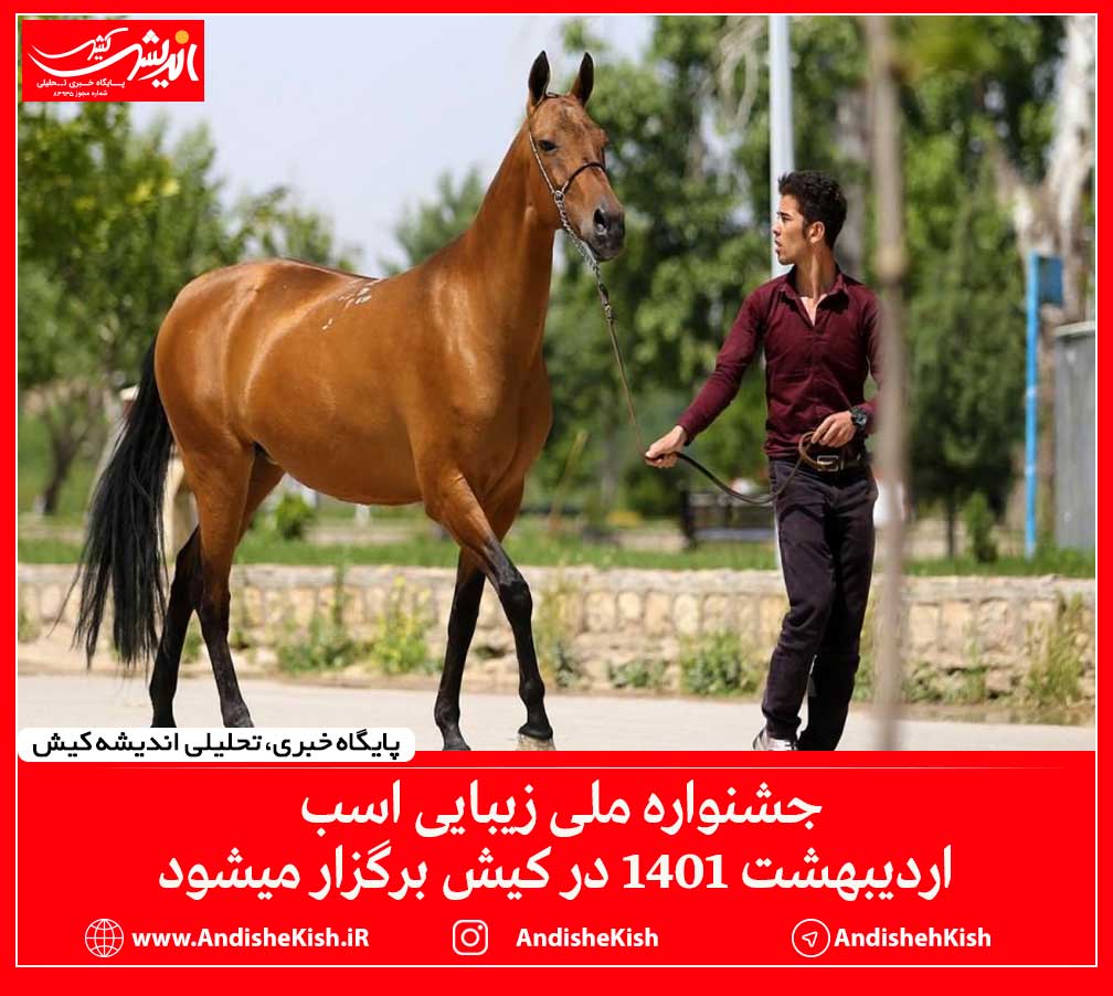 جشنواره ملی زیبایی اسب اردیبهشت ۱۴۰۱ در کیش برگزار میشود