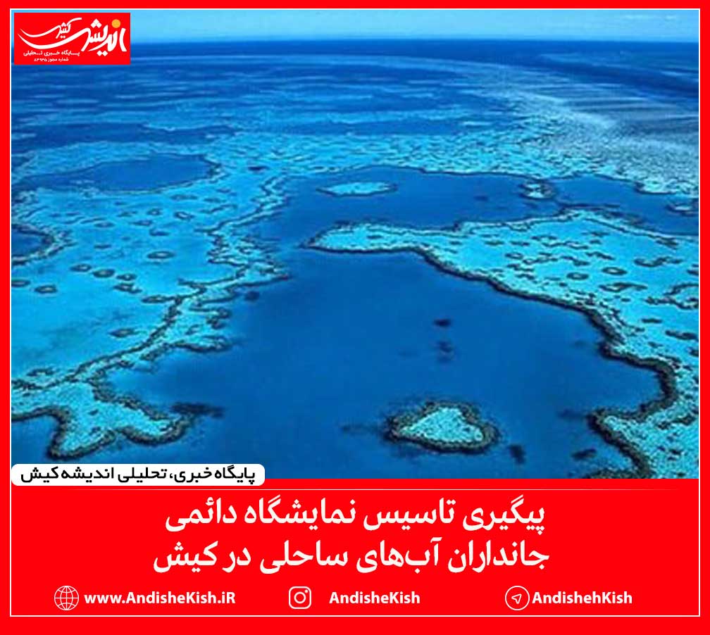 پیگیری تاسیس نمایشگاه دائمی جانداران آب‌های ساحلی در کیش