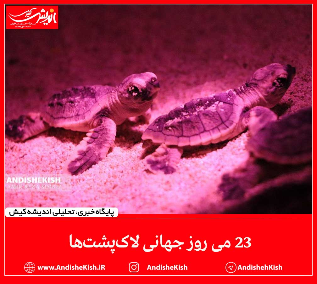 ۲۳ می روز جهانی لاک‌پشت‌ها