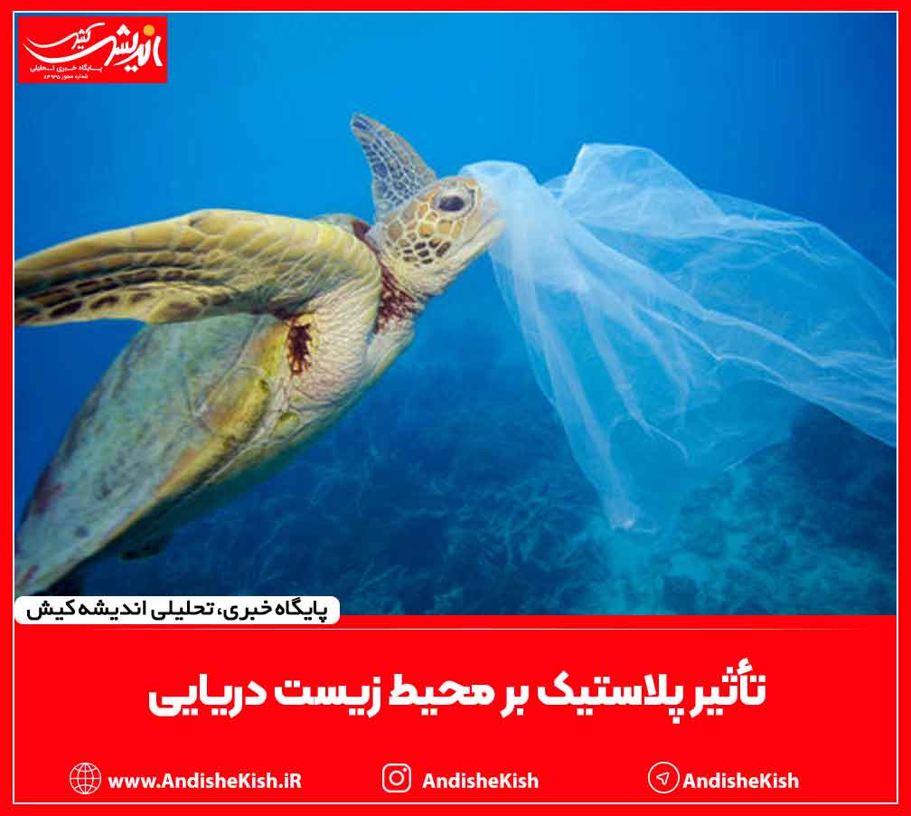 تأثیر پلاستیک بر محیط زیست دریایی