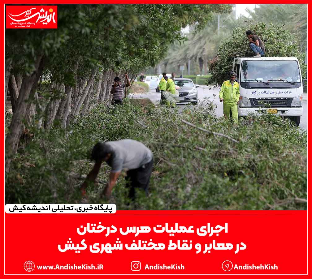 اجرای عملیات هرس درختان در معابر و نقاط مختلف شهری کیش