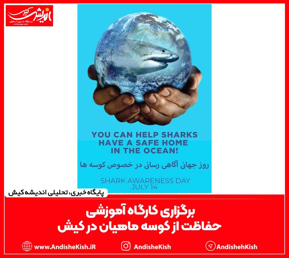 پاسخ سرپرست فدراسیون ورزش های آبی و ساحلی به متن جهت دار درج شده در یک صفحه اینستاگرامی