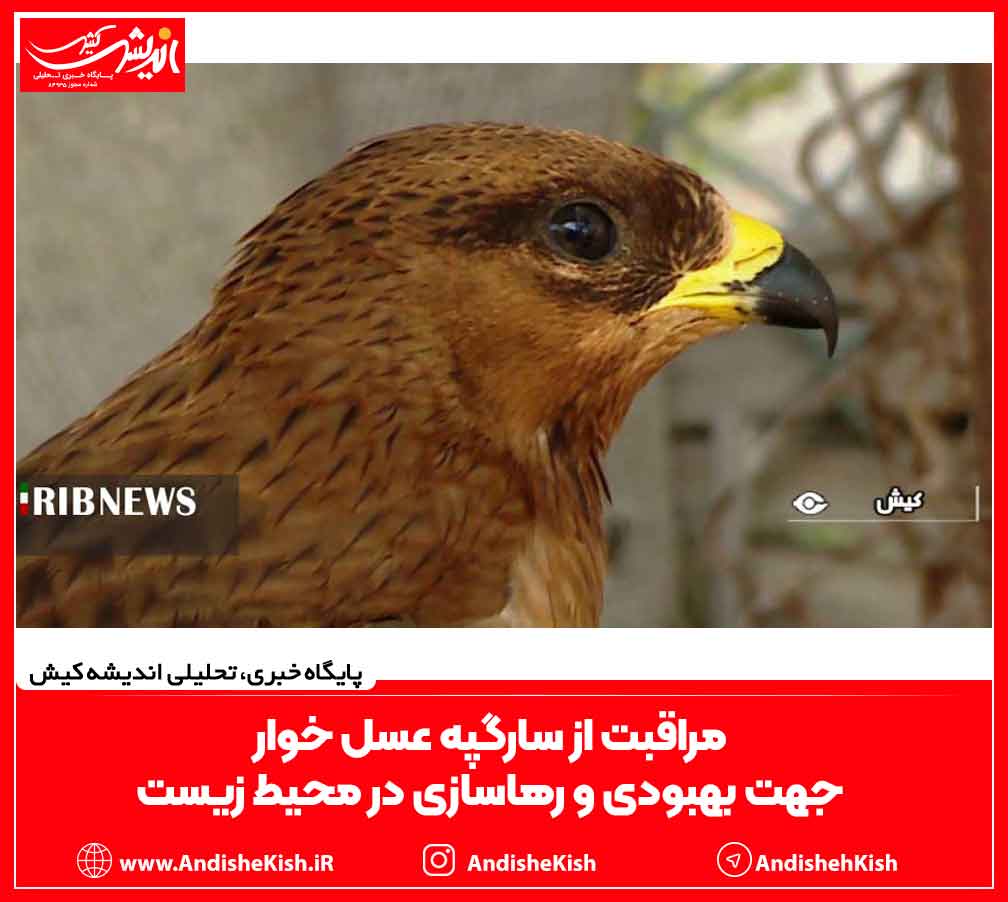 مراقبت از سارگپه عسل خوار جهت بهبودی و رهاسازی در محیط زیست