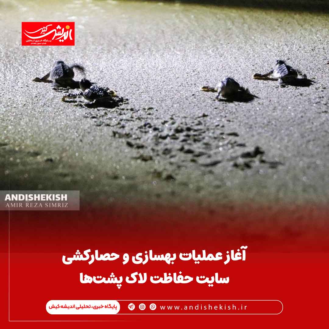 آغاز عملیات بهسازی و حصارکشی سایت حفاظت لاک پشت‌ها