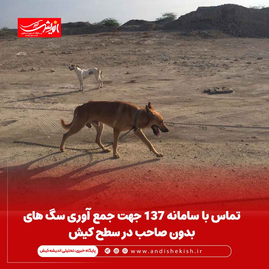 تماس با سامانه ۱۳۷ جهت جمع آوری سگ های بدون صاحب در سطح کیش تماس با سامانه ۱۳۷ جهت جمع آوری سگ های بدون صاحب در سطح کیش