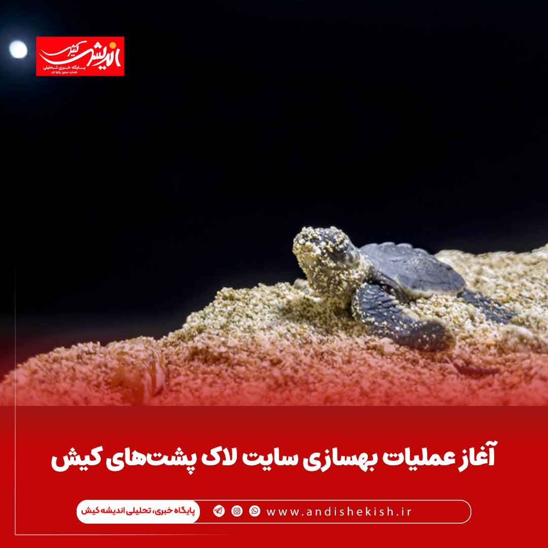 آغاز عملیات بهسازی سایت لاک پشت‌های کیش