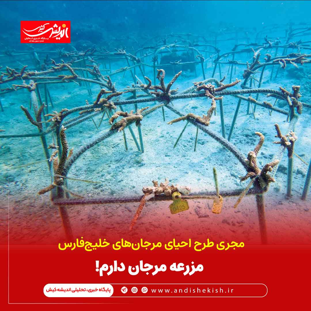 مزرعه مرجان دارم!