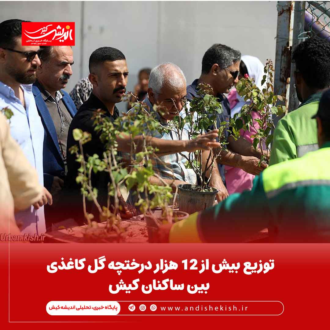 توزیع بیش از 12 هزار درختچه گل کاغذی بین ساکنان کیش توزیع بیش از ۱۲ هزار درختچه گل کاغذی بین ساکنان کیش