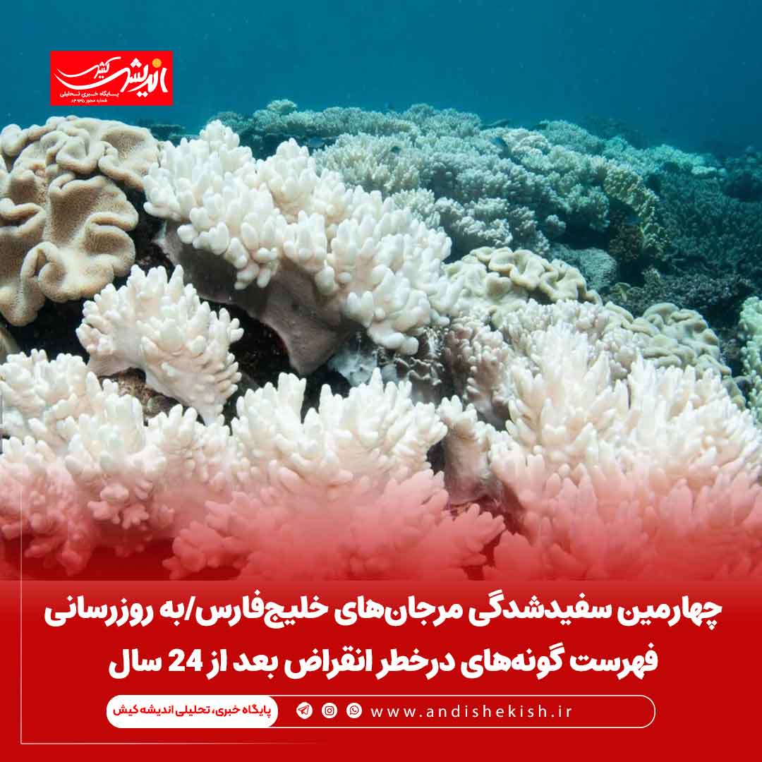 چهارمین سفیدشدگی مرجان‌های خلیج‌فارس/به روزرسانی فهرست گونه‌های درخطر انقراض بعد از ۲۴ سال