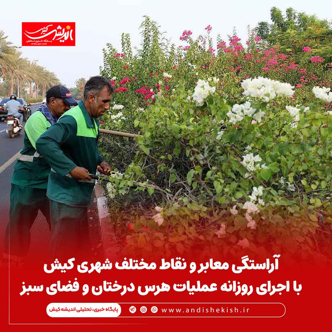 آراستگی معابر و نقاط مختلف شهری کیش با اجرای روزانه عملیات هرس درختان و فضای سبز