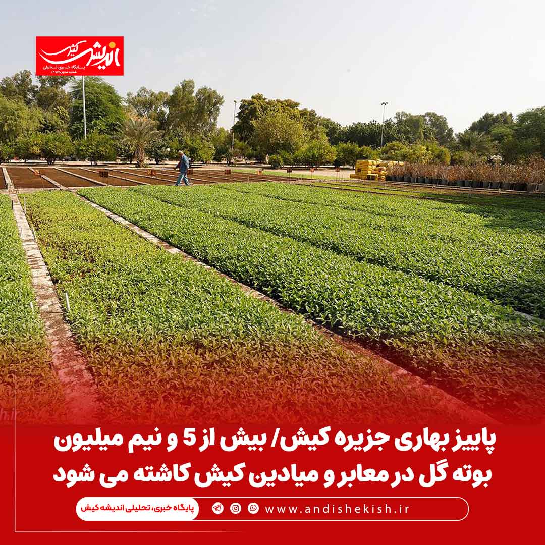 پاییز بهاری جزیره کیش/ بیش از ۵ و نیم میلیون بوته گل در معابر و میادین کیش کاشته می شود