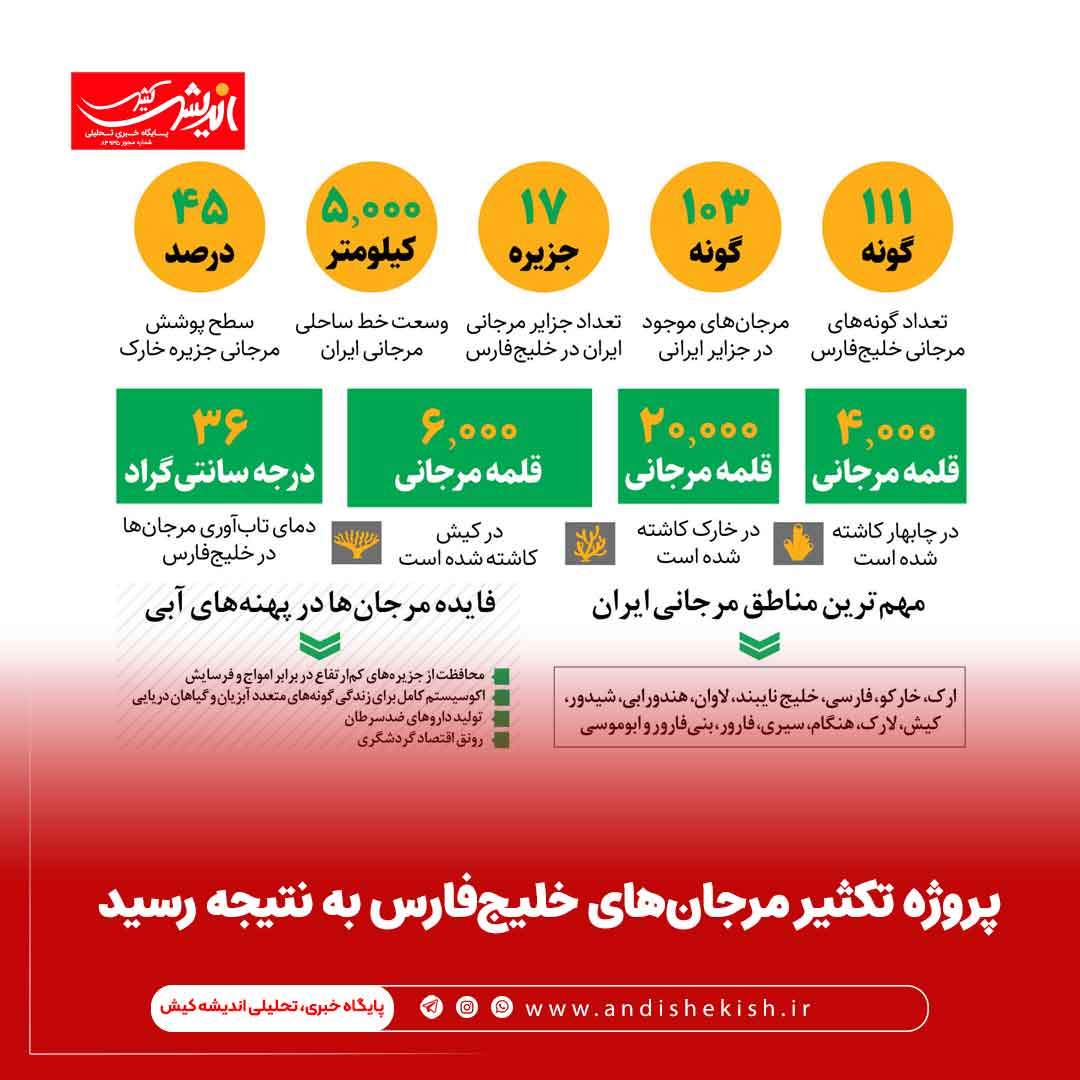 پروژه تکثیر مرجان‌های خلیج‌فارس به نتیجه رسید