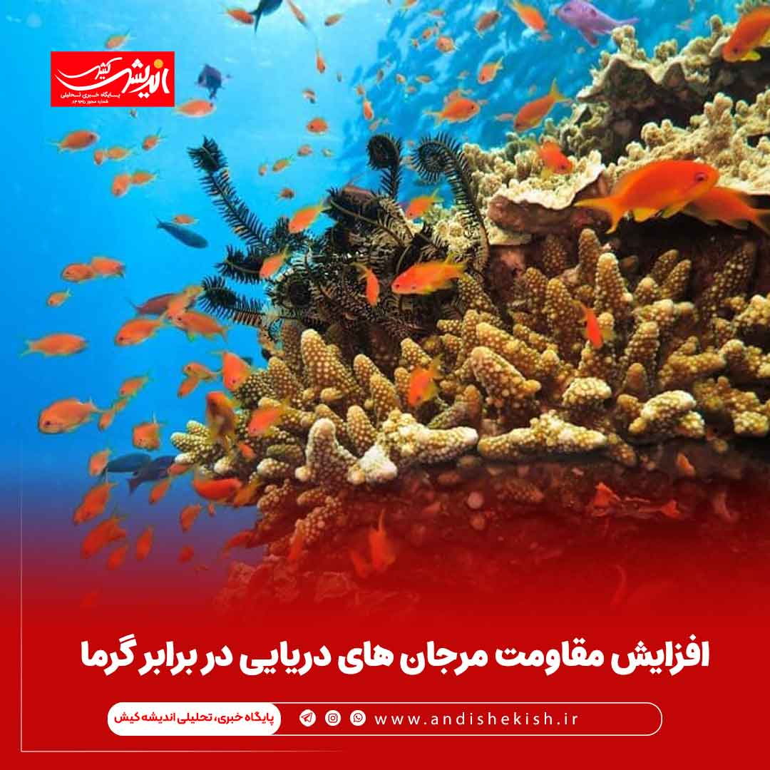 افزایش مقاومت مرجان های دریایی در برابر گرما