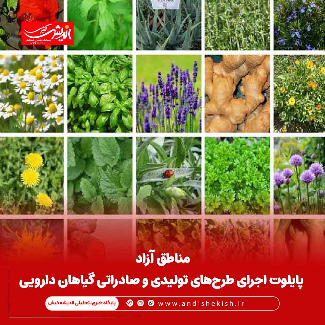 مناطق آزاد پایلوت اجرای طرح‌های تولیدی و صادراتی گیاهان دارویی