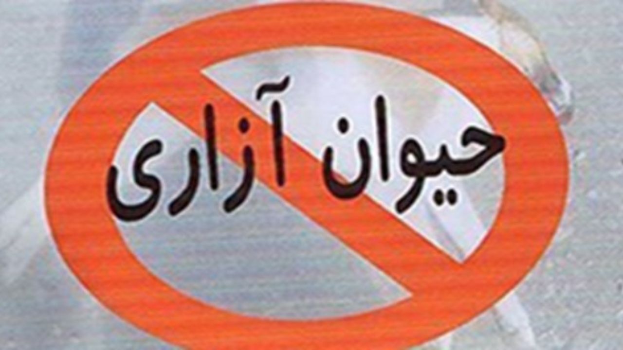 حیوان آزاری ممنوع - پیام مردمی حیوان آزاری ممنوع – پیام مردمی