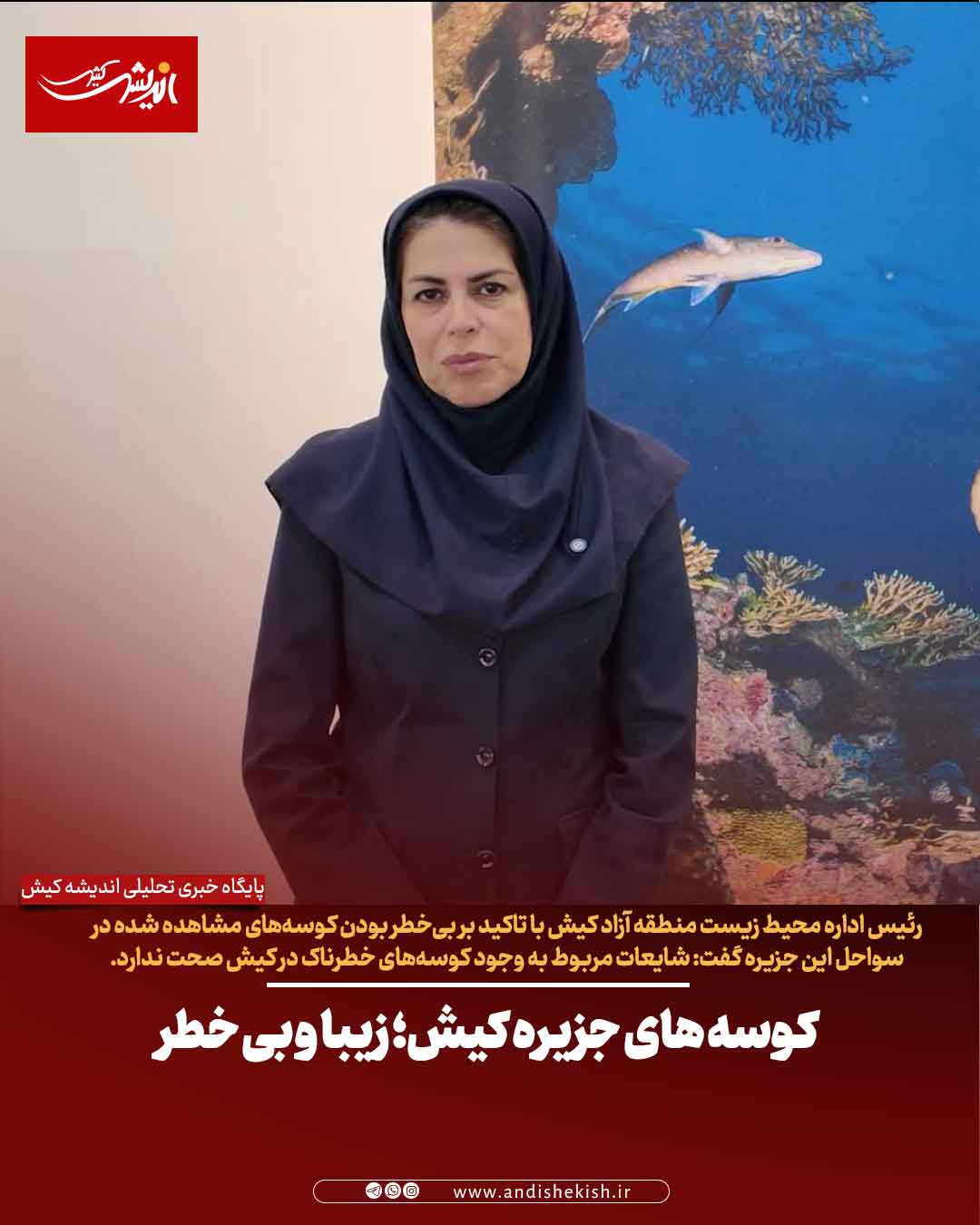 کوسه های جزیره کیش؛ زیبا و بی خطر