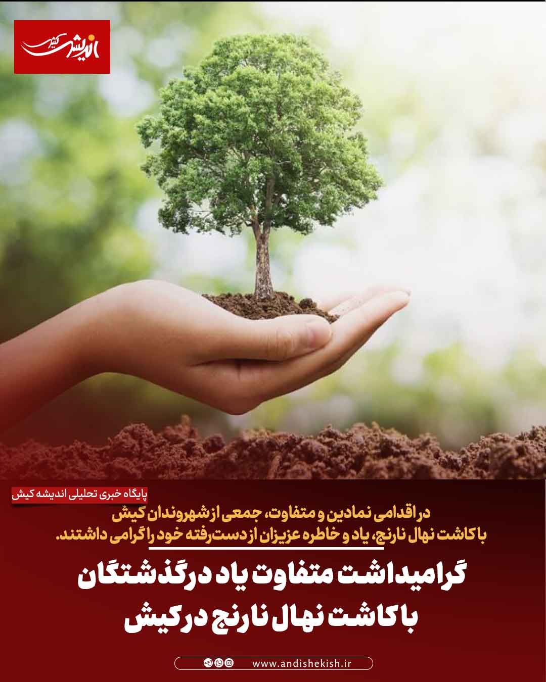 گرامیداشت متفاوت یاد درگذشتگان با کاشت نهال نارنج در کیش گرامیداشت متفاوت یاد درگذشتگان با کاشت نهال نارنج در کیش