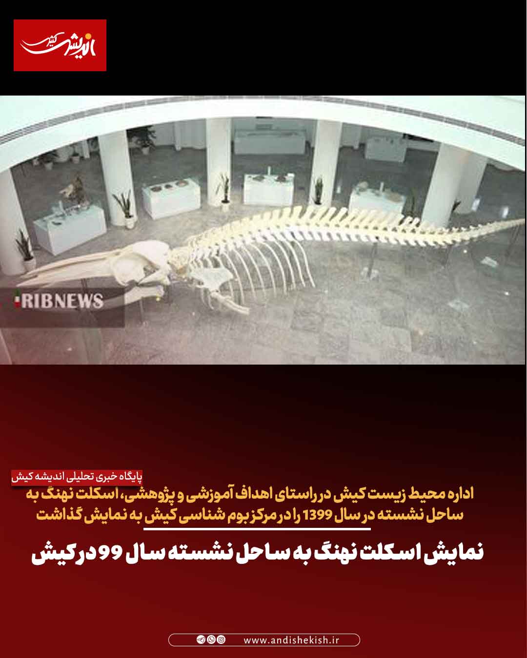 نمایش اسکلت نهنگ به ساحل نشسته سال ۹۹ در کیش