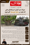میراث سبز کیش؛ سرمایه ای ملی که نباید در سایه توسعه گم شود