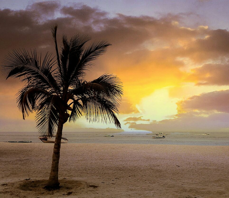 کیش، جزیره خسته و در حال دگردیسی کیش، جزیره خسته و در حال دگردیسی